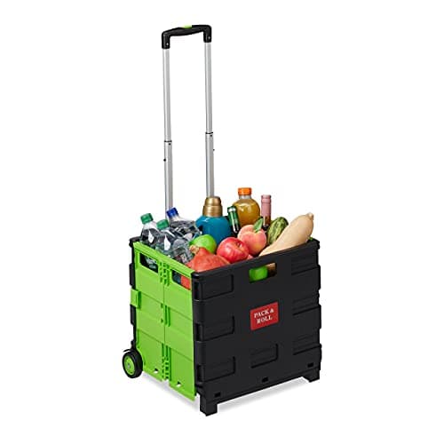 Relaxdays Carrito Compra Plegable, Asa Telescópica, 2 Ruedas, Caja Transporte, hasta 35 kg, Plástico y Aluminio, Verde