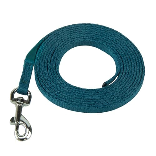 Correa Coachi Puppy & Mini Training Line, enseñar a Hacer Sus Necesidades, Evitar Saltos, escaparse, Evitar Lugares, Masticar, Modales, Ligera para Interior. para Cachorros y Perros recién adquiridos