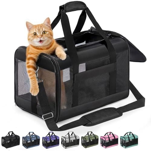Conlun Transportín para Gatos Aprobado, Transportín de Perro Suave con Correa Interior, para Gatos y Cachorros hasta 7 kg, Bolsa de Viaje Plegable -Negro,M