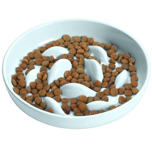 PETTOM Comedero Ingesta Lenta para Gatos Ansiosos - Cuenco con Obstáculos para Prevenir Obesidad Ralentizar Comida (Comedero-Verde)
