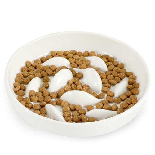 PETTOM Comedero Ingesta Lenta para Gatos Ansiosos - Cuenco con Obstáculos para Prevenir Obesidad Ralentizar Comida (Comedero-Blanco)