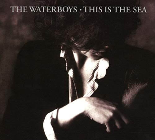 This Is The Sea (Collectors Edition)