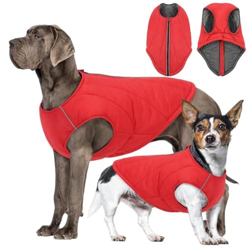 CITÉTOILE Abrigo para Perros Invierno – Chaqueta Impermeable de Nylon Relleno de Algodón, con Tiras Reflectantes y Cremallera – Diseño Clásico para Climas Fríos Rojo S