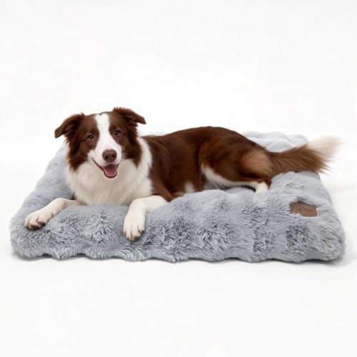 BingoPaw Cama para Perro Grande, 90x60x10cm Camas Perros Grandes Colchon Cojín Perro Grande, Colchoneta Lavable a Máquina, Fondo Antideslizante Dog Bed, Gris
