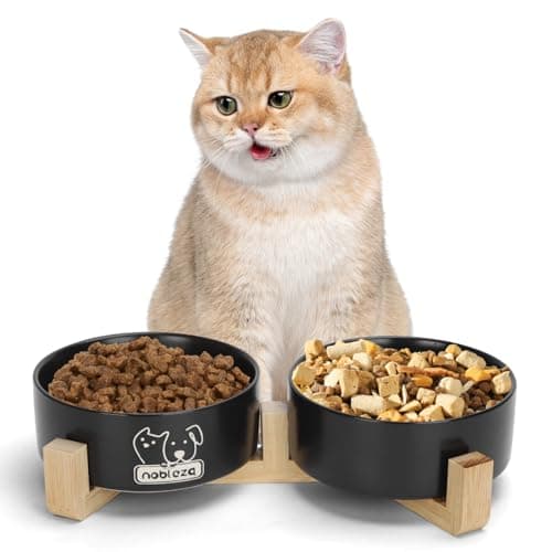 Nobleza Comedero para Perros y Gatos de Cerámica 400ml – 2 Cuencos con Soporte de Bambú Antideslizante, Plato para Comida y Agua, Ideal para Gatos, Razas Pequeñas y Cachorros (Negro)
