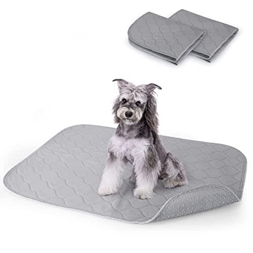 Nobleza Alfombra Educadora para Perro Lavable Reutilizable, Juego de 2, Alfombra Ultra Absorbente, 75 x 89 cm, Alfombra para Perro, Gris