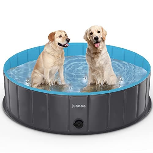 lunaoo Piscina para Perros, Bañera Plegable para Mascotas, Antideslizante y Resistente al Desgaste Bañera para Niños Natación Piscina para Mascotas Perros Grandes y Pequeños, Azul Claro, 120 x 30 cm