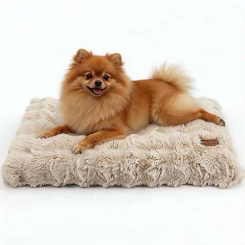 BingoPaw Cama para Perros Medianos, 76x51x10cm Cama Perro Lavable, Colchón para Perro Impermeable Funda Peluda Removible y Base Antideslizante, para Perros Medianos, Beige