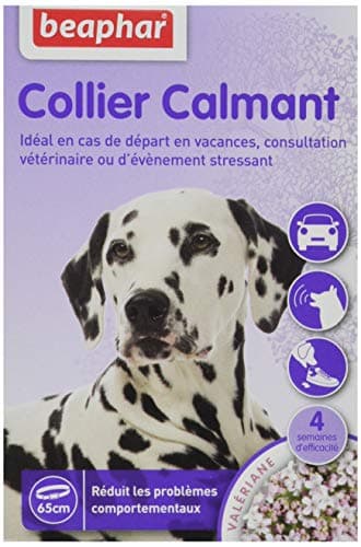 Beaphar Collar calmante a Base de valeriana para Perros