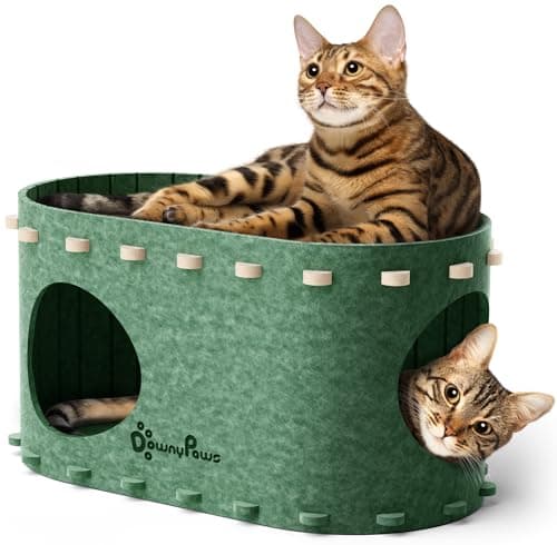 DownyPaws Cama Gato de Fieltro, Cama Gatos Cueva 2 en 1 para Descansar y Jugar, Casitas para Gatos, Robustas y Resistentes a los Arañazos, Fácil de Limpiar y Montar, Verde