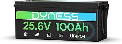 Batería Litio 24V 100Ah LiFePO4 con BMS 100A y Protección contra Bajas Temperatura, 24V Bateria LiFePO4 para Camper, Solar, Barcos de Pesca de Róbalo, Autocaravanas (RV), Fuera de la Red
